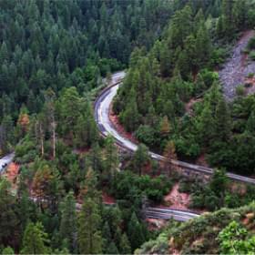 Серпантин на фоне тайги